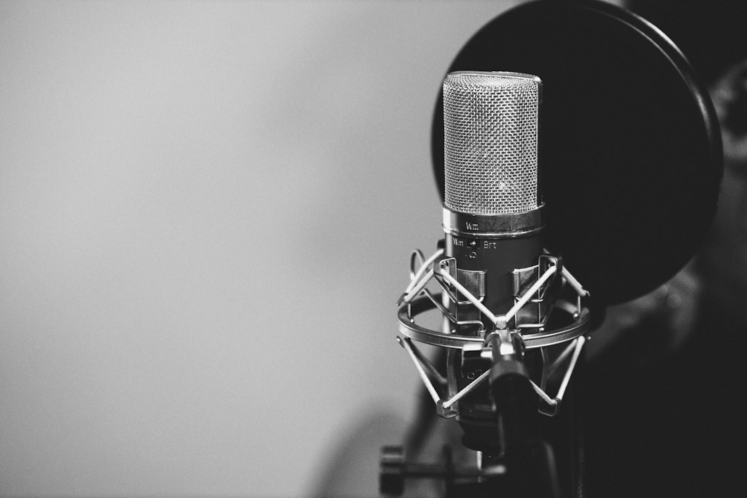 professional microphone in recording studio
