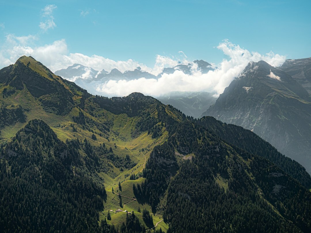 Aerial drone view of a green valley in the Swiss Alps